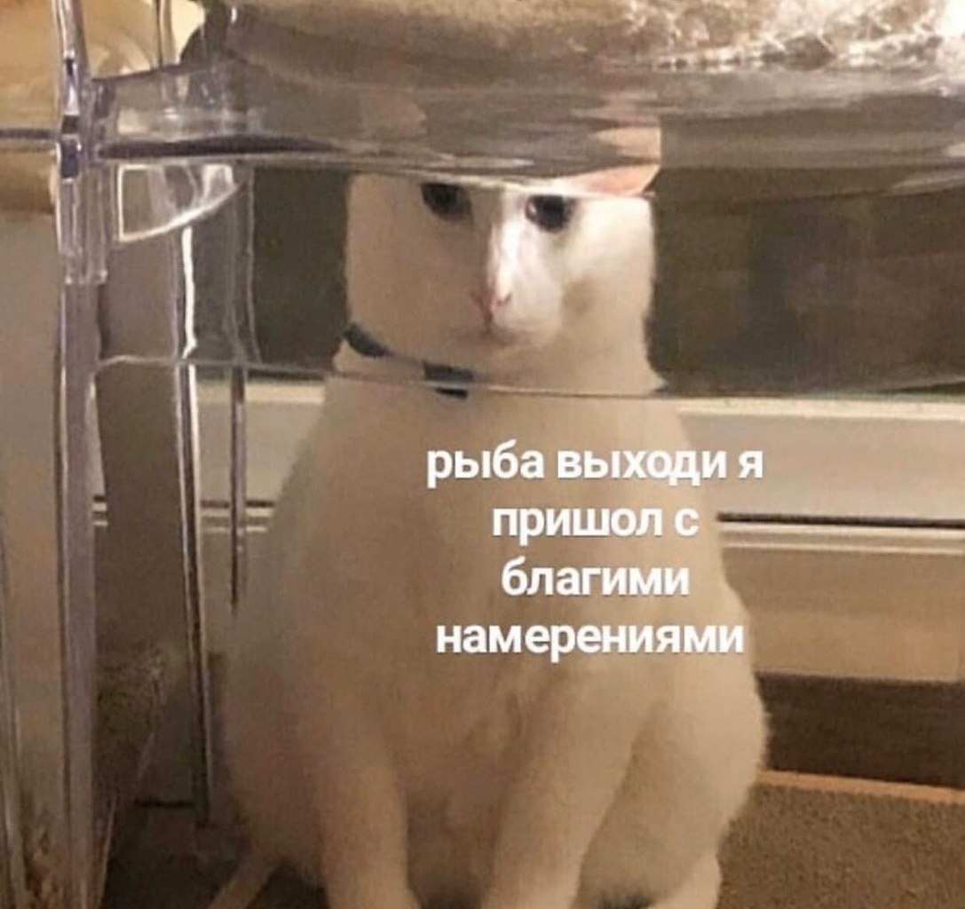    - 29  2023  22:36