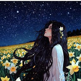 �����, ���������