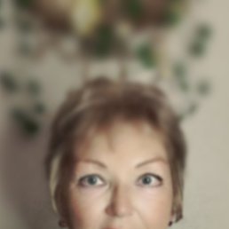 ���� ����, ��������� - ��������� 4 ������� 2026