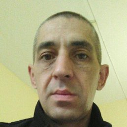 �������, ������, 46 ���