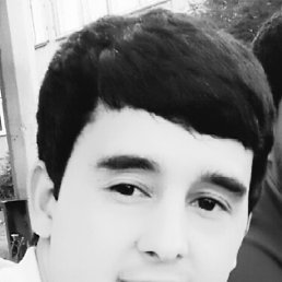 , 33 , 