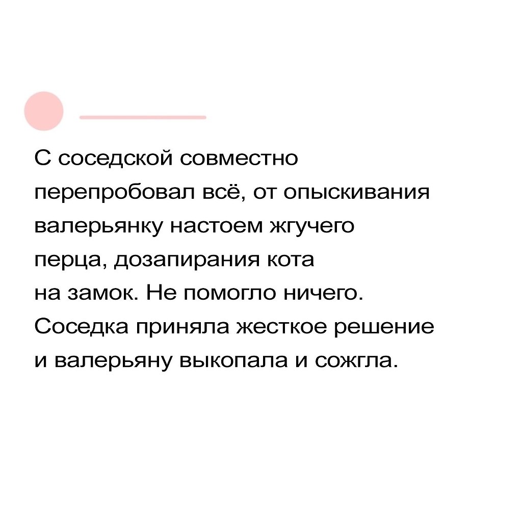   -  ,  -  - 12  2025  07:27 - 3