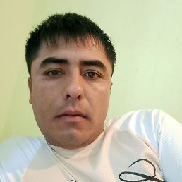 , 29, 