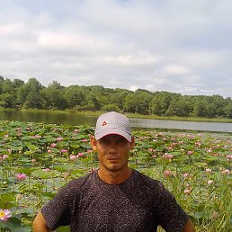 ������, ���������, 41 ���