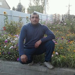 , 41, ,  