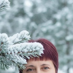 ���� �������, ��������, 54 ���� - ��������� 26 ������ 2026