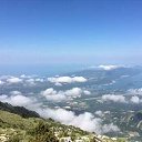 ���� Jovan, ������ - ��������� 8 ������� 2026 � ������ ������ ��������