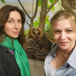 ����, 41 ���, ������������