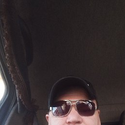 , 33,  