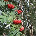  , -, 60  -  30  2025    