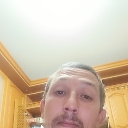 , 41, 