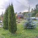 ���� �����, ������, 60 ��� - ��������� 26 ������ 2025 � ������ ���� ����������