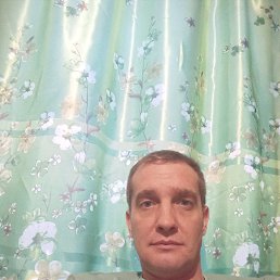 ���� ������, ����-���, 42 ���� - ��������� 21 ������� 2024