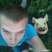 , 28 , 