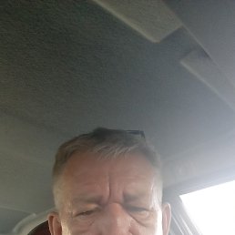 �����, 49 ���, ������