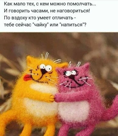 �������� ������ - 25 ������� 2026 � 17:17