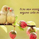 ���� ����, ������� - ��������� 9 �������� 2025 � ������ ��������� ����