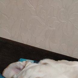 ���� ������, ����, 39 ��� - ��������� 4 ������ 2026