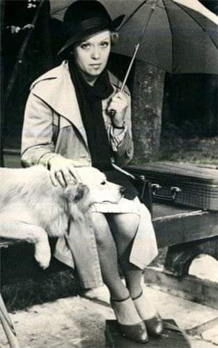 "  ,  .   ,    ,    ...