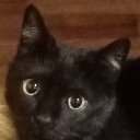 ���� �����, �����-��������� - ��������� 9 ������ 2025 � ������ ���� ����������