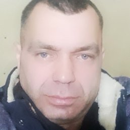 �������, ���������, 46 ���