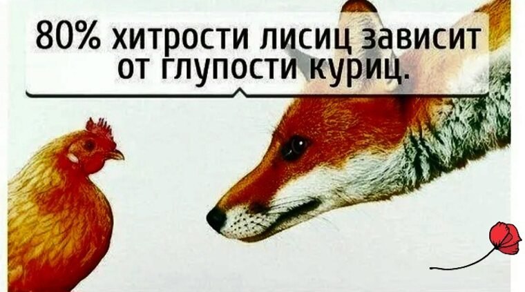   ! - 25  2025  13:04
