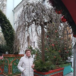 ���������, �������, 61 ���