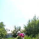 ���� �����, ��������� - ��������� 15 ���� 2026