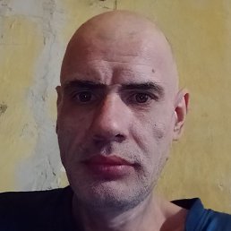 �������, ��������, 48 ���