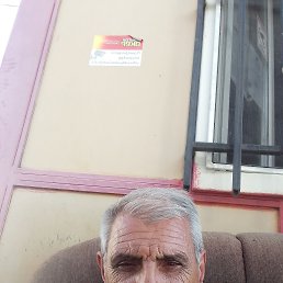 , 61, 