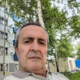 , 61, 