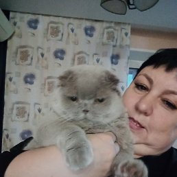 ���� ������� ��������, ���������, 50 ��� - ��������� 22 ������ 2024