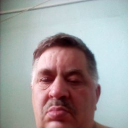 , 59, 