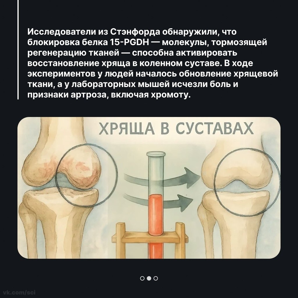 ����������� | ������ | ����� �� 5 - 8 ������ 2026 � 07:26 - 2