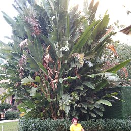 ���� �����., �����������, 65 ��� - ��������� 2 ������� 2023