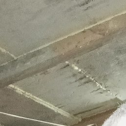 �����, ������������, 51 ���