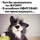 ���� ���, �����������, 54 ���� - ��������� 1 ������� 2025 � ������ ���� ����������