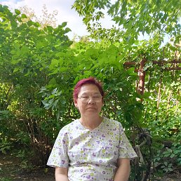 , 54, 