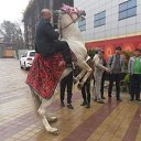 ���� ����, �����-���������, 55 ��� - ��������� 17 ������ 2024 � ������ ���� ����������