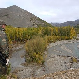 ����, ����, 66 ���