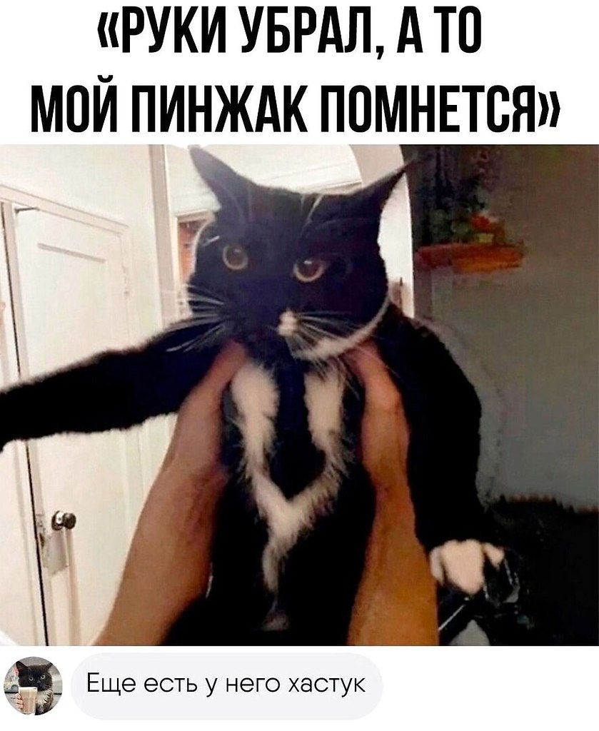   - 18  2024  15:37