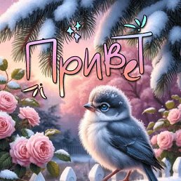 ���� *** Hoffnung ***, ������ - ��������� 31 ������� 2026