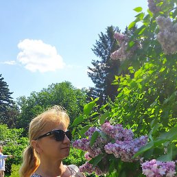 Фото Лена, Екатеринбург, 49 лет Лена, Екатеринбург, 49 лет