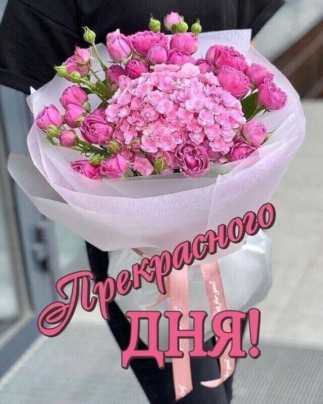  ,    . - 7  2025  15:00 - 2