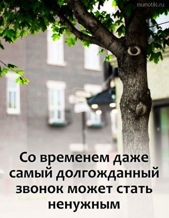 ������������ �� �������... - 2 ������ 2026 � 00:29
