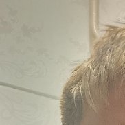 , 18 , 