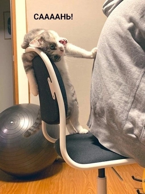 Мой я сказала) - 3