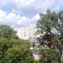 ���� ����, �����, 42 ���� - ��������� 14 ������� 2024