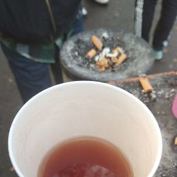 ���� Seed, �����������, 37 ��� - ��������� 20 ������ 2023