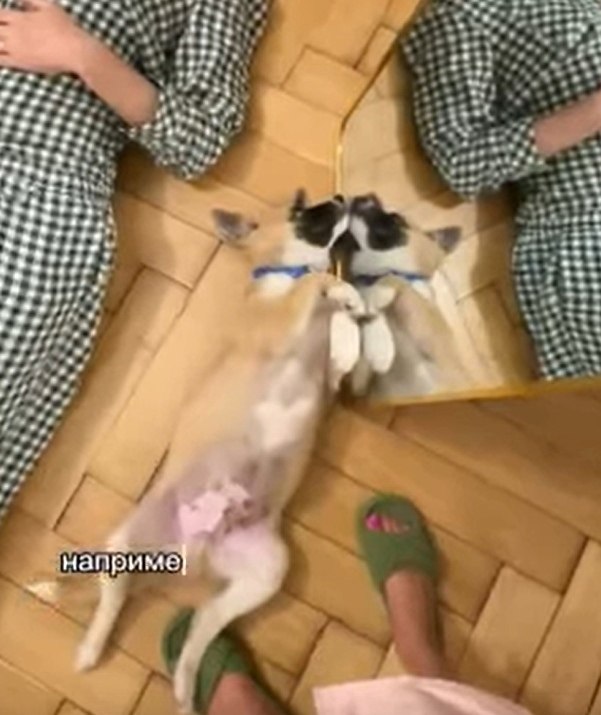 a  caee, coaa - o eoepc peea  ooeoe e? - 2